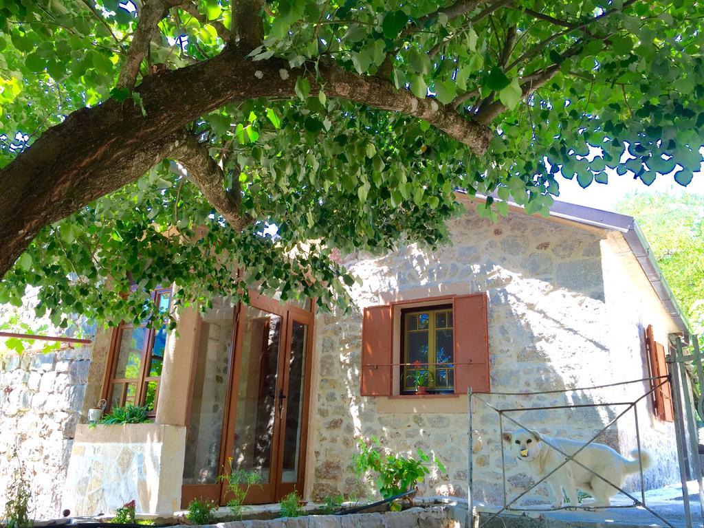 Ethno House Ivanovic فيربازار المظهر الخارجي الصورة